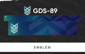 GDS-89