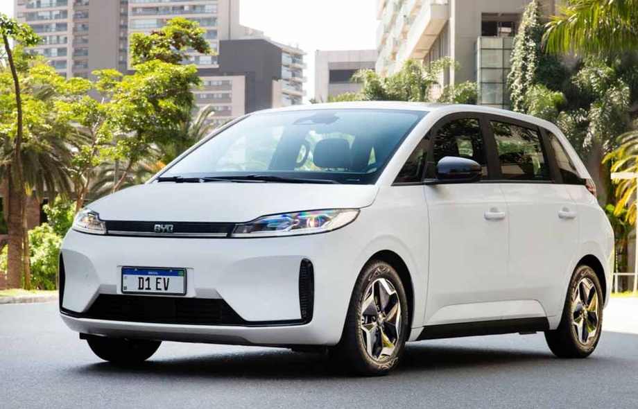 BYD D1 2020--