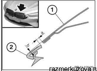 BMW 8 (G15) Coupe 2018-2022--