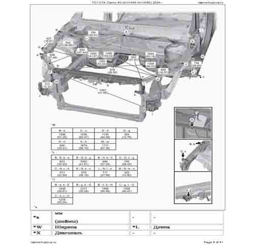 TOYOTA Camry (XV80) 2024--