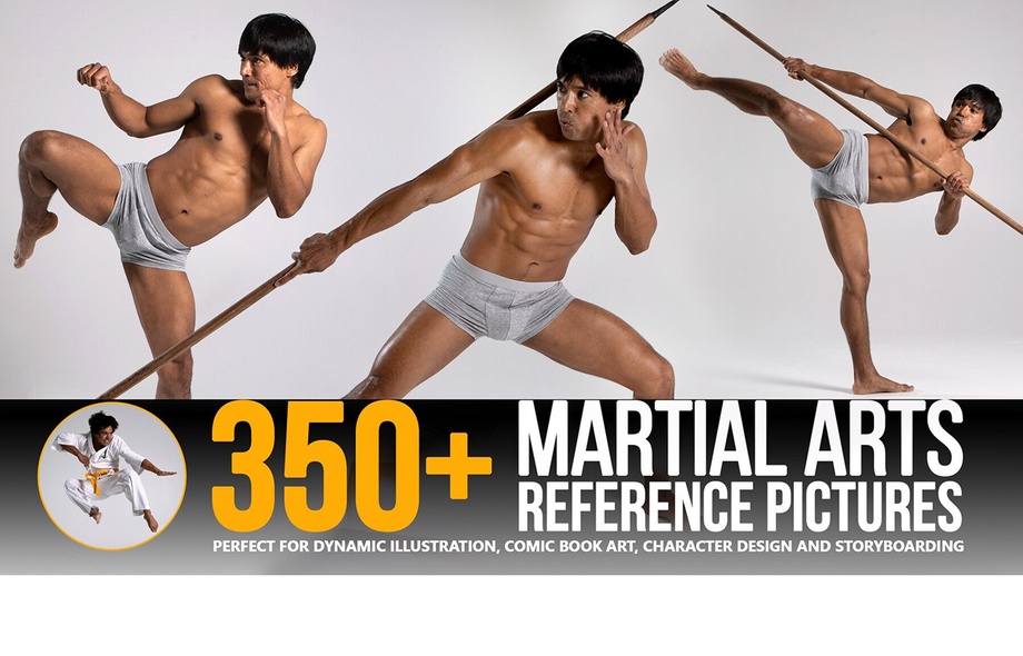 350+ Martial Arts Reference Pictures