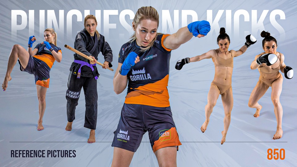Punches & Kicks: 850 Female Action Poses for Artists