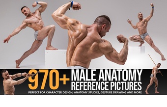 970+ Male Anatomy Reference Pictures