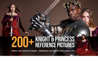 200+ Knight and Princess Reference Pictures for Artists