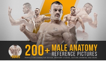 200+ Male Anatomy Reference Pictures
