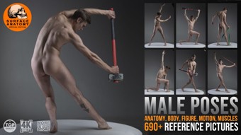 690+ Male Poses: Anatomy, Body, Figure, Motion, Muscles