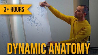 Aleksandr Rhyzhkin - Anatomy Tutorial