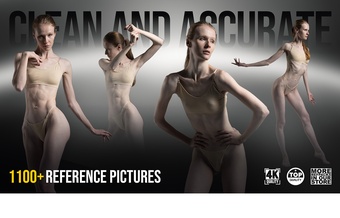 1100+ Clean and Accurate Female Anatomy Poses