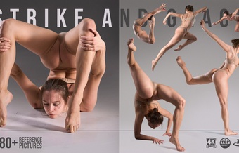 780+ Strike and Grace Academic Poses in Motion