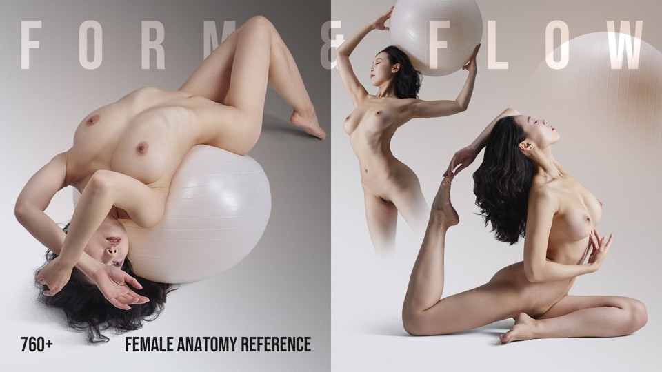 760+ Form & Flow: Female Anatomy Reference