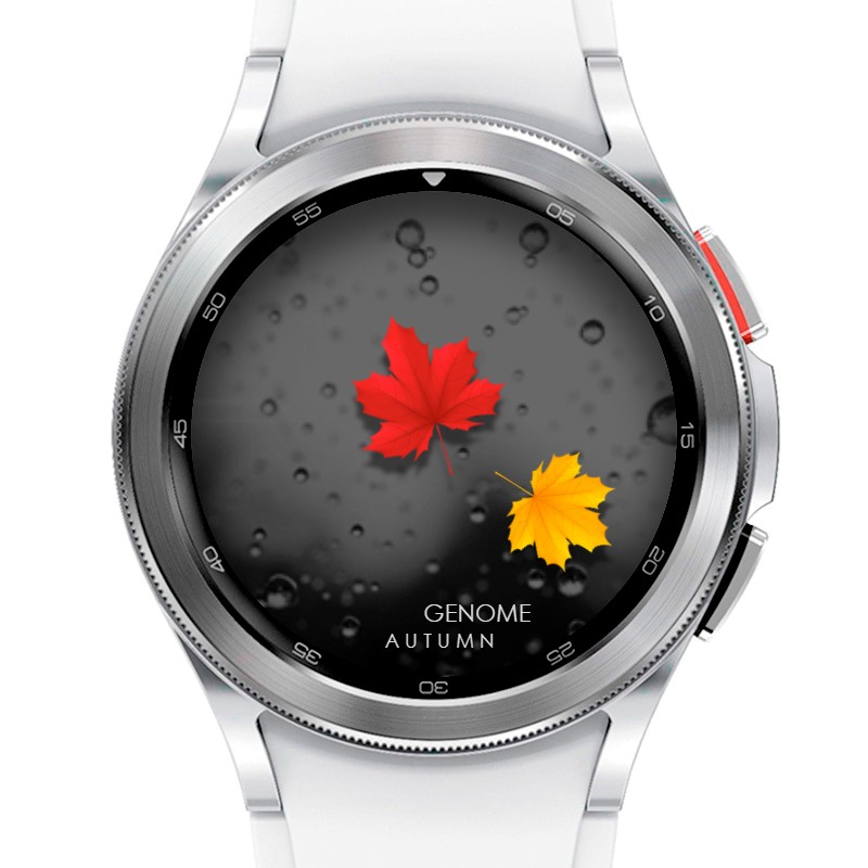Autumn | API 33+ 3