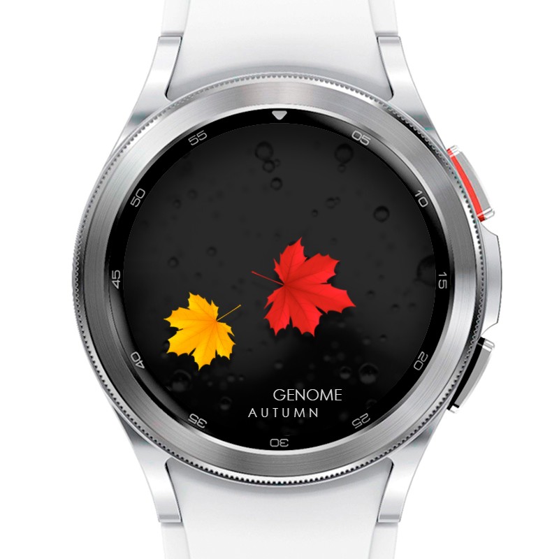 Autumn | API 33+ 5