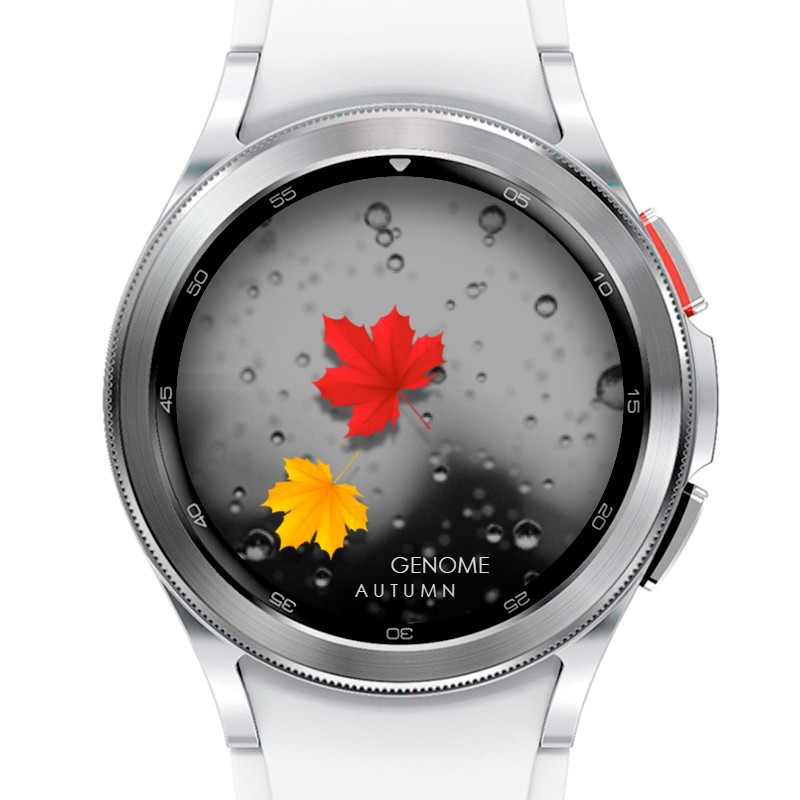 Autumn | API 33+ 2