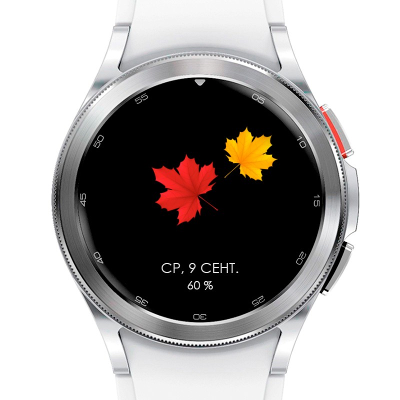 Autumn | API 33+ 6