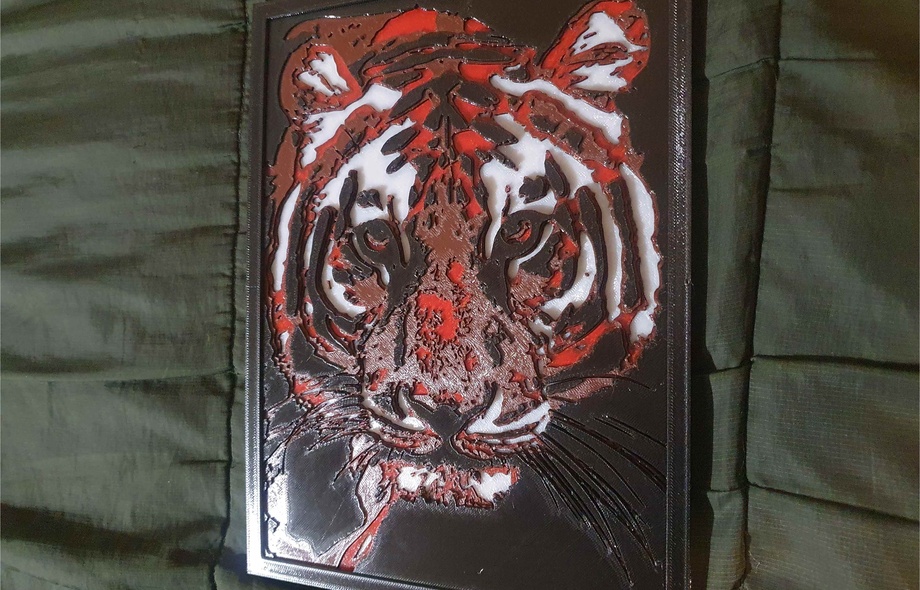 Тигр в рамке