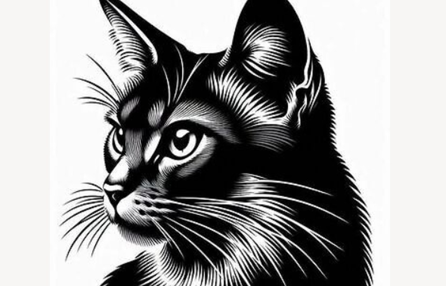 Милый котик