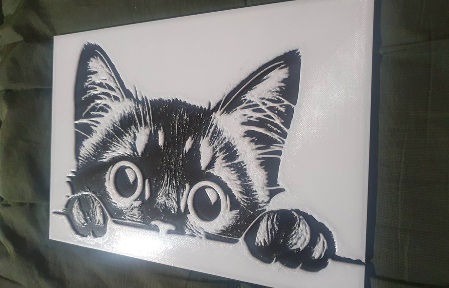 Любопытный котик