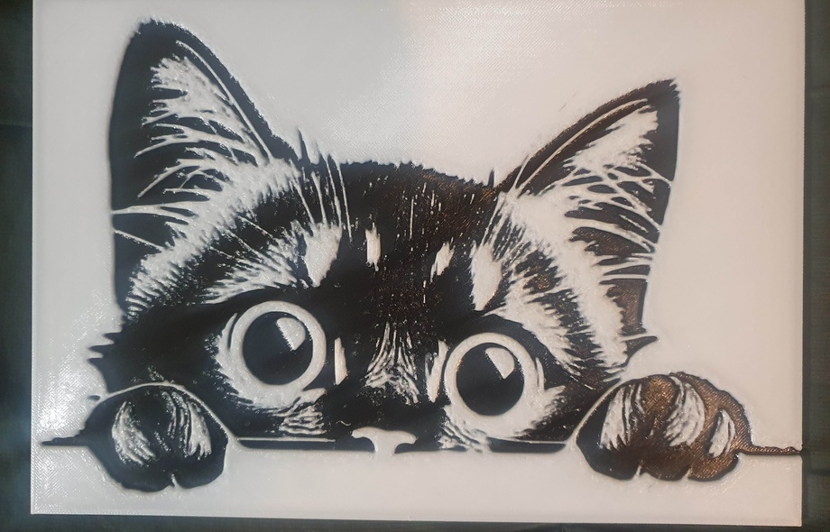 Любопытный котик