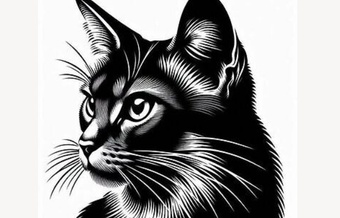 Милый котик