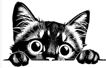 Любопытный котик