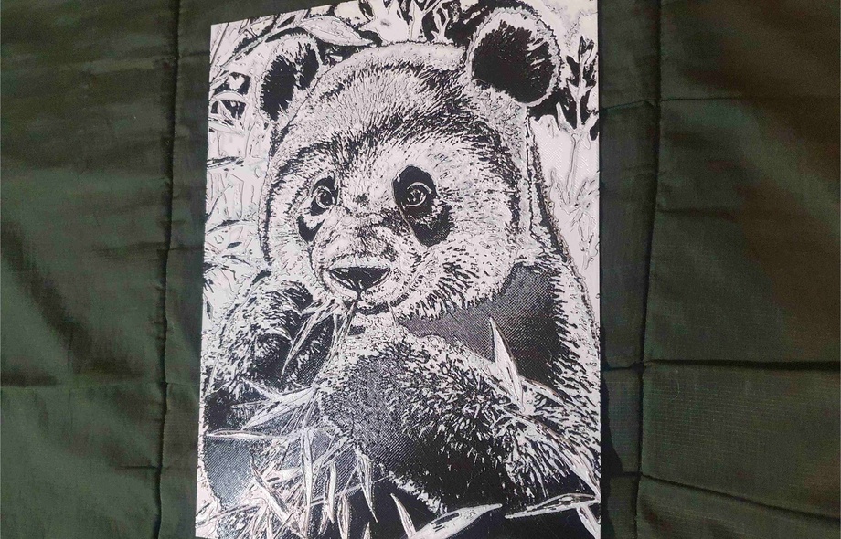 Панда