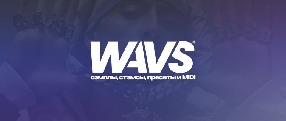 WAVS на 1 & 12 Месяцев