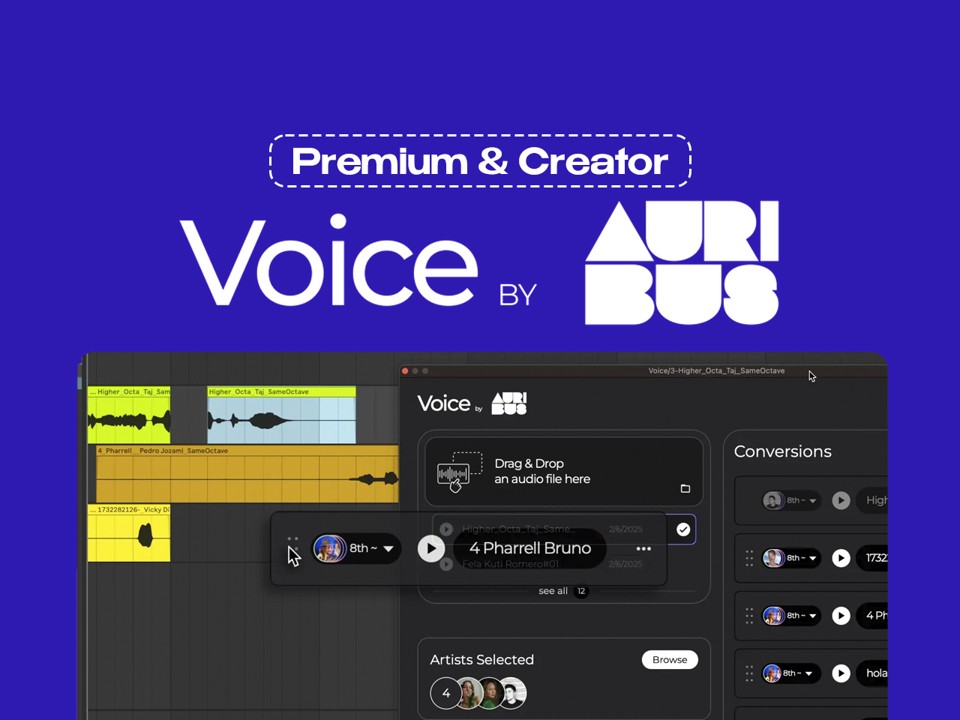 Auribus Creator & Premium на 2-3 Месяца