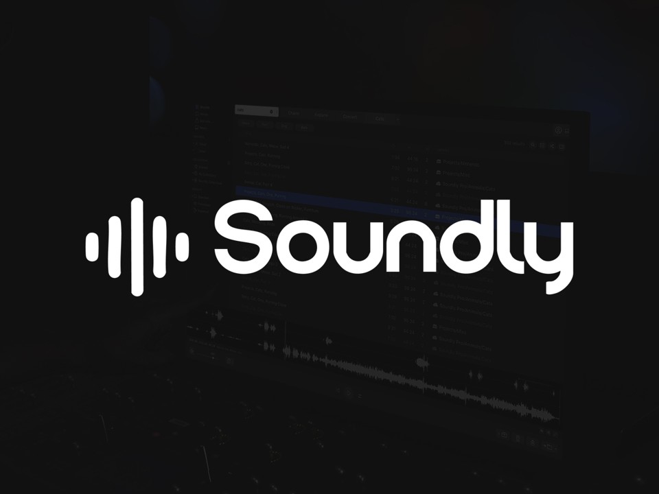 Soundly Pro на 1-3 Месяца 1