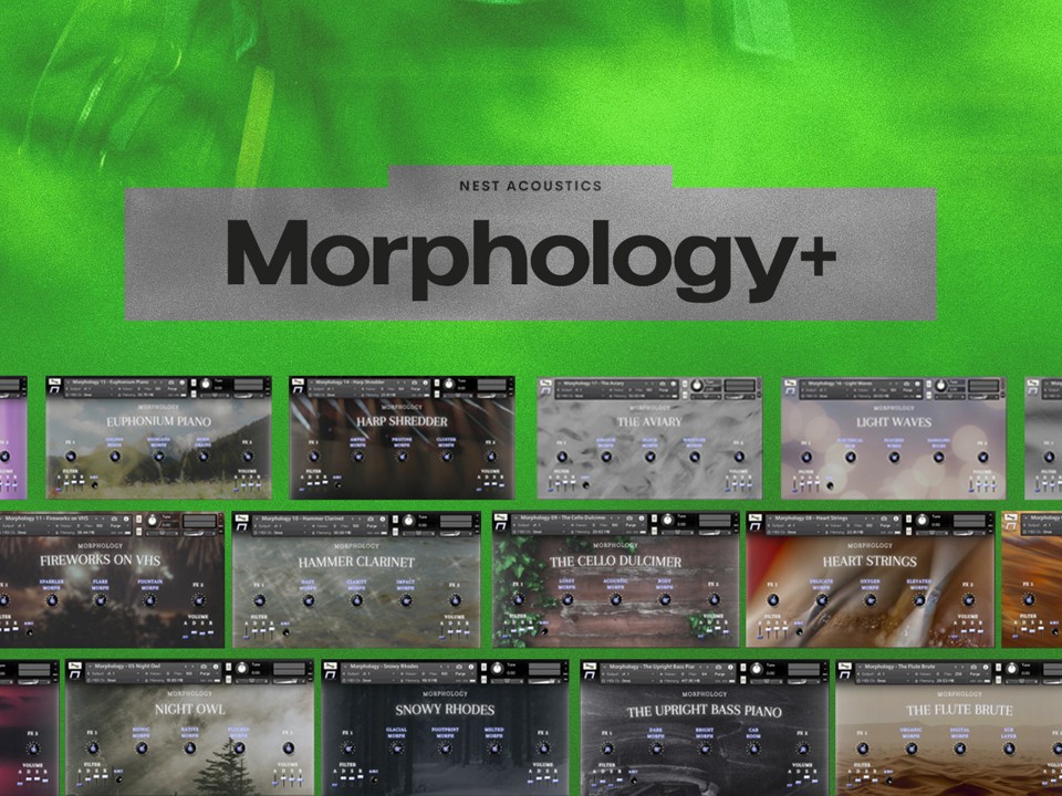 Morphology by NEST Acoustics