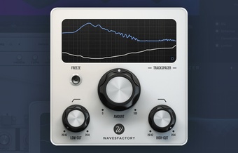 Wavesfactory Trackspacer