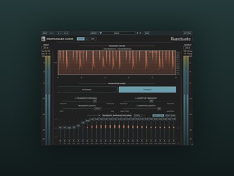 Eventide Punctuate (Лицензионный ключ)