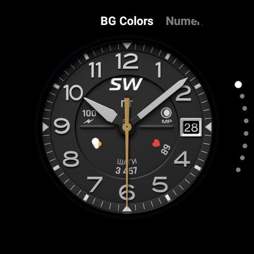 Sentry SW 10