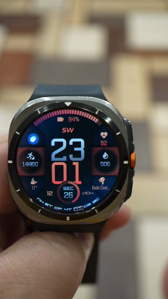 Garmin Fenix SW 2