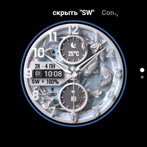 Fish TimeSW 4