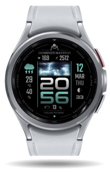 DM6 1