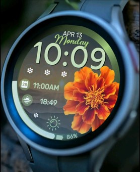 Цветы на WearOS 3