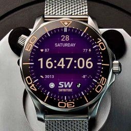 SWNumber 1