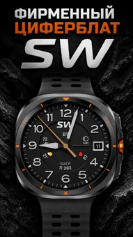 Sentry SW 2