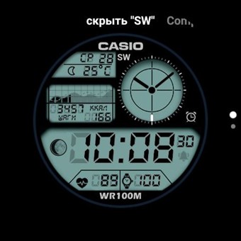 CasioSW Monohrome 3