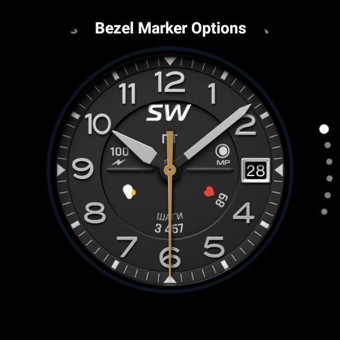 Sentry SW 8