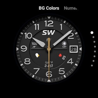 Sentry SW 10