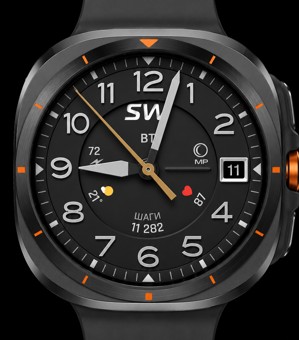 Sentry SW 1