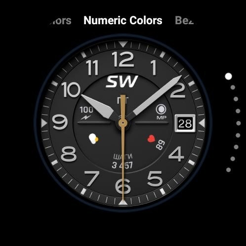 Sentry SW 9