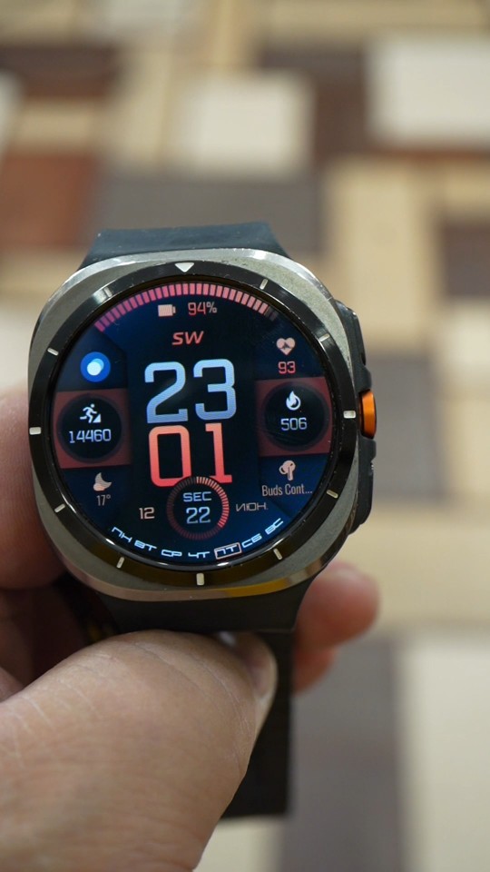 Garmin Fenix SW