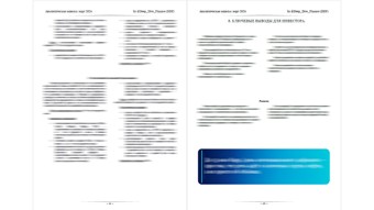 Gulf oil, DeepLevel 2 (Analytical Note) 6