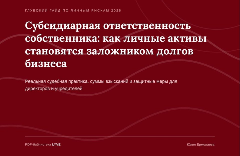 Субсидиарная ответственность собственника: как личные активы становятся заложником долгов бизнеса 2