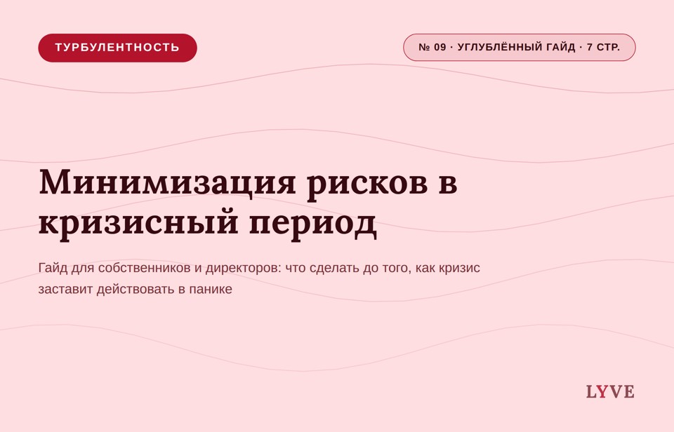 Минимизация рисков в кризисный период