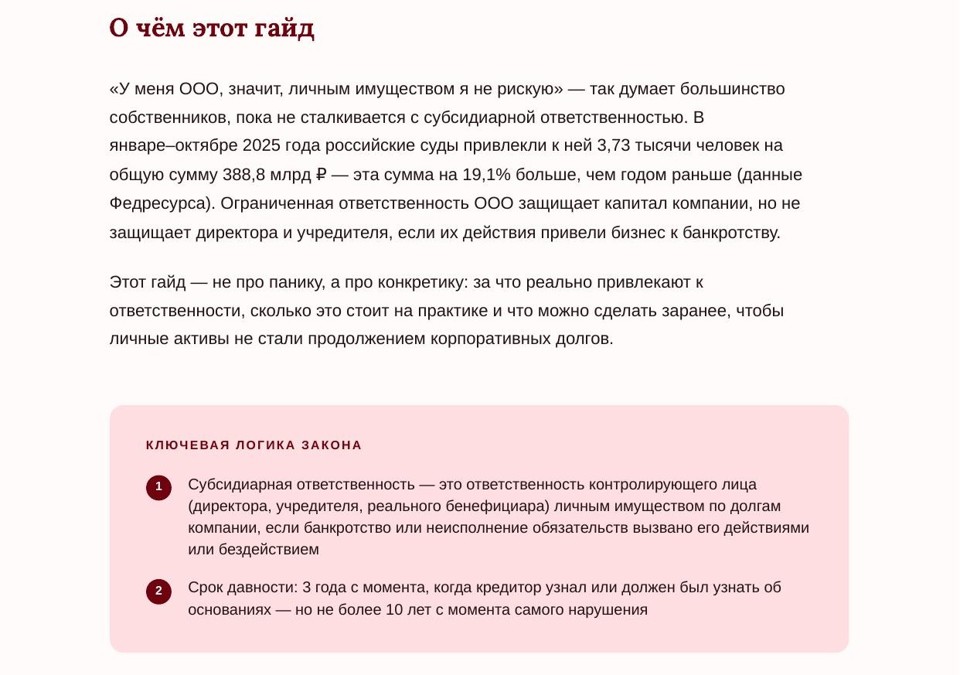 Субсидиарная ответственность собственника: как личные активы становятся заложником долгов бизнеса 3