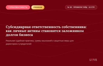 Субсидиарная ответственность собственника: как личные активы становятся заложником долгов бизнеса 1