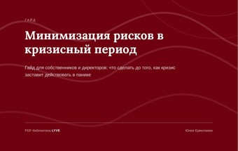 Минимизация рисков в кризисный период 2